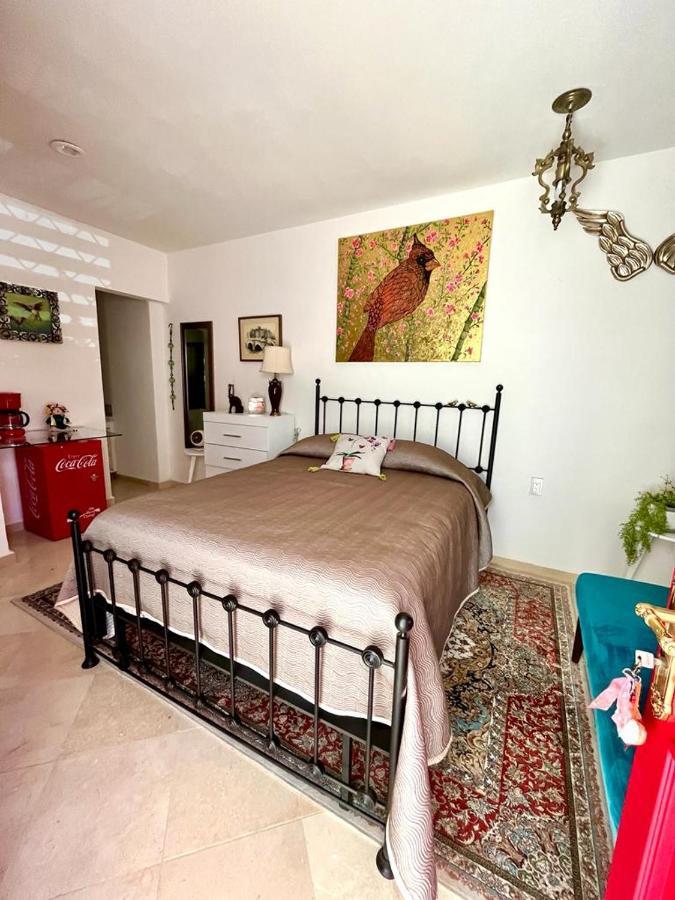 Small Pet Friendly, Pool And Gym Apartment Альенде Экстерьер фото